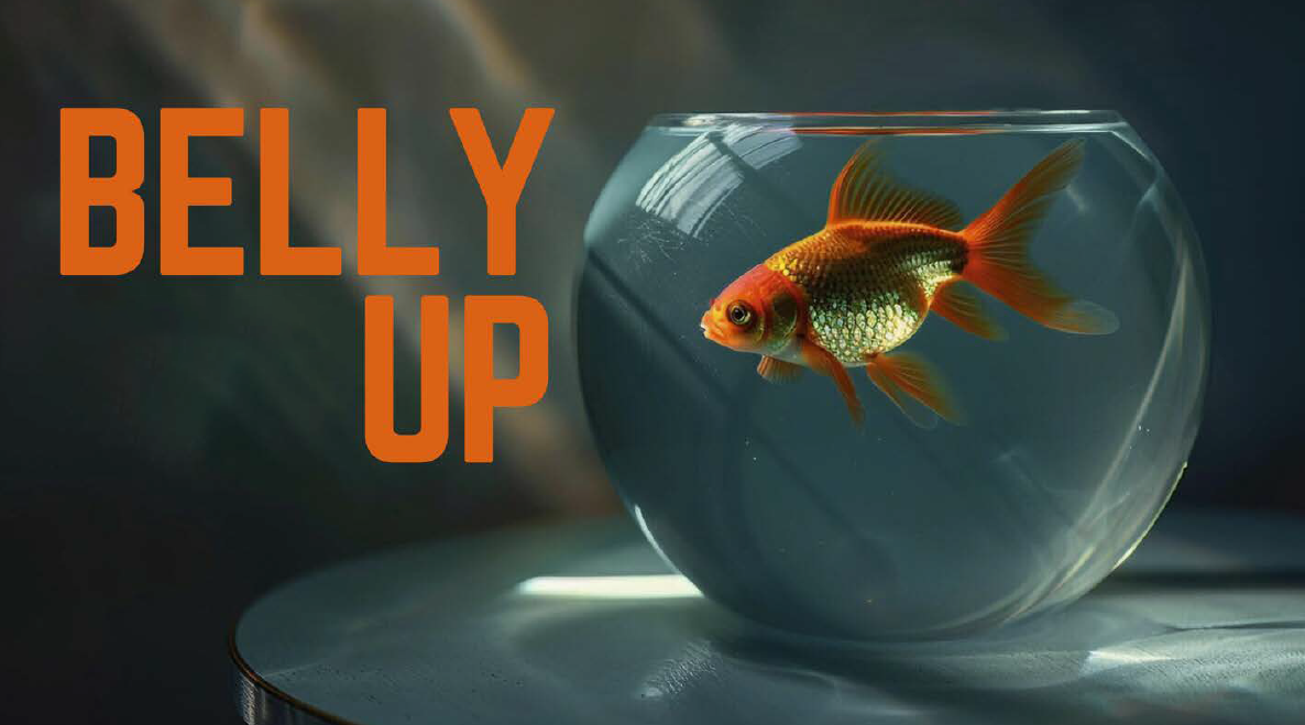 Belly Up